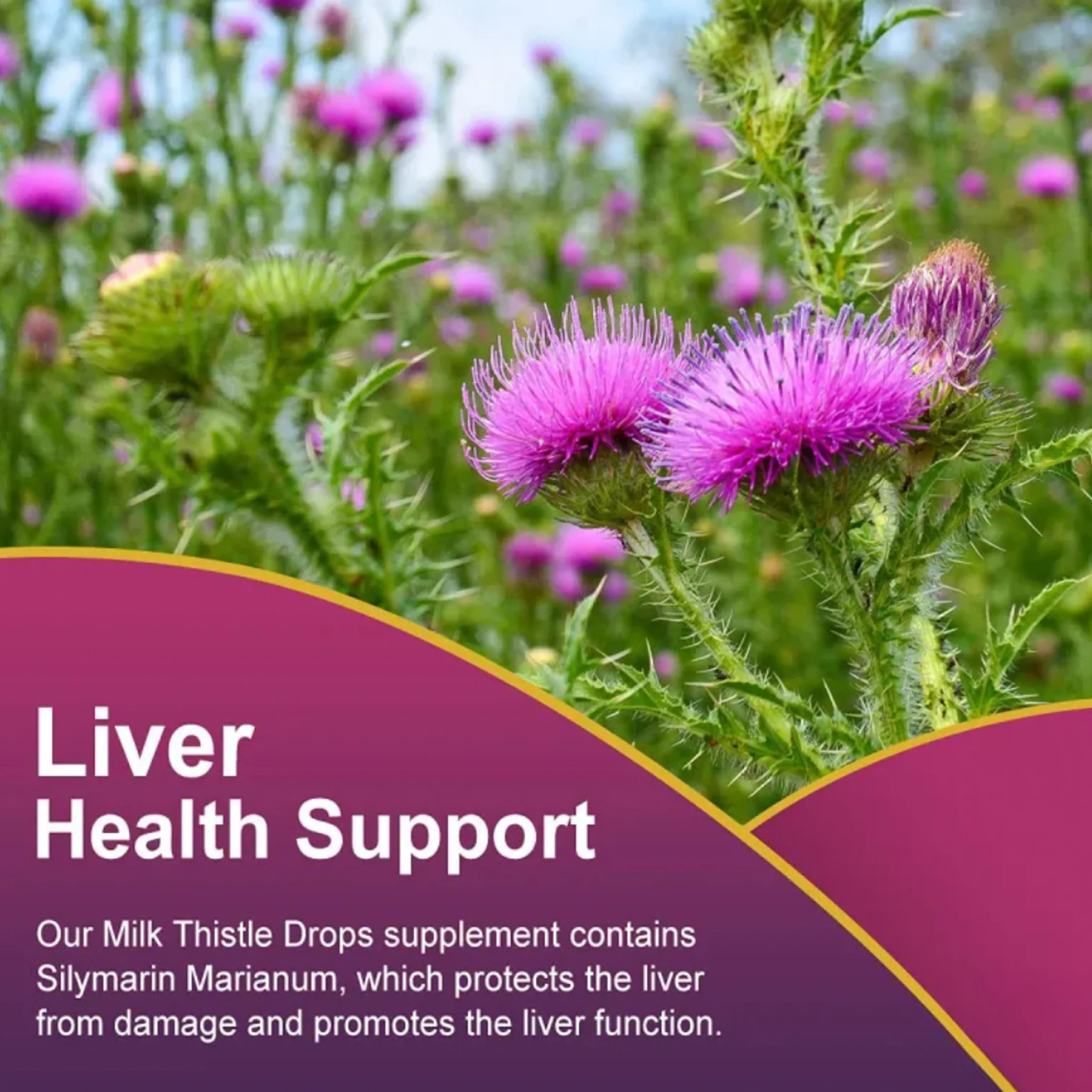 Josaine Liver Support - Image 4